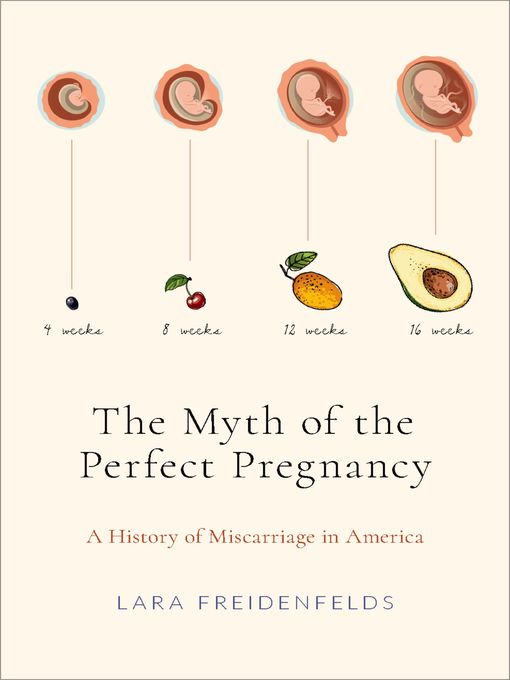 Title details for The Myth of the Perfect Pregnancy by Lara Freidenfelds - Available